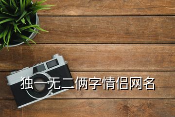 独一无二俩字情侣网名