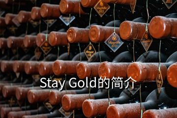 Stay Gold的简介