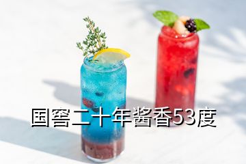 国窖二十年酱香53度