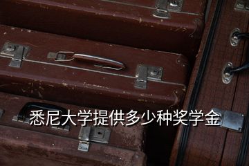 悉尼大学提供多少种奖学金