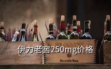 伊力老窖250mg价格