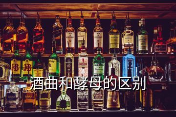 酒曲和酵母的区别