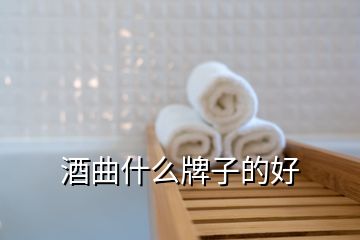 酒曲什么牌子的好