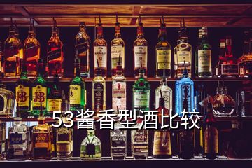 53酱香型酒比较