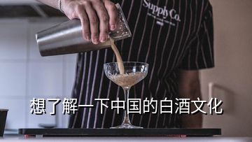 想了解一下中国的白酒文化