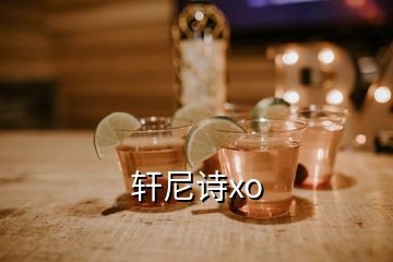 轩尼诗xo