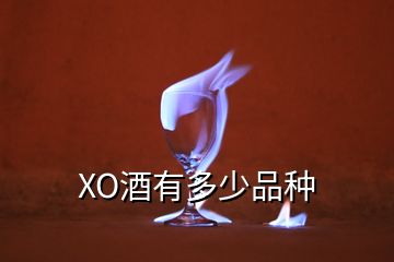 XO酒有多少品种