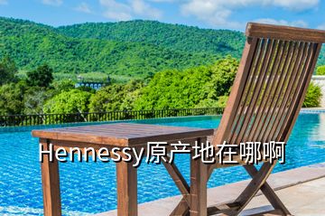 Hennessy原产地在哪啊