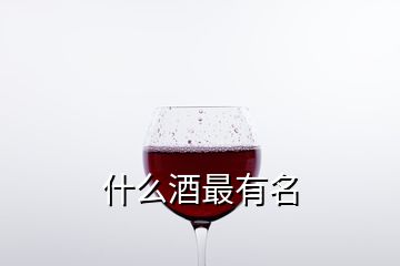 什么酒最有名