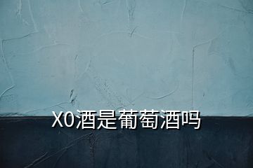 X0酒是葡萄酒吗