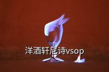 洋酒轩尼诗vsop