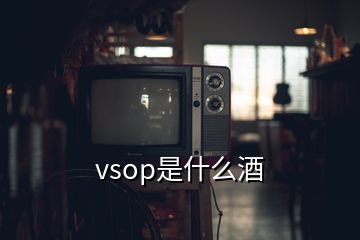vsop是什么酒