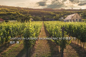 CHATEAU de LAUBADE BASARMAGNAC XO 价值多少方瓶的  搜