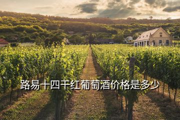 路易十四干红葡萄酒价格是多少