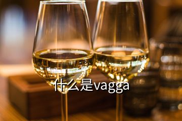 什么是vagga