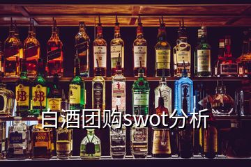 白酒团购swot分析