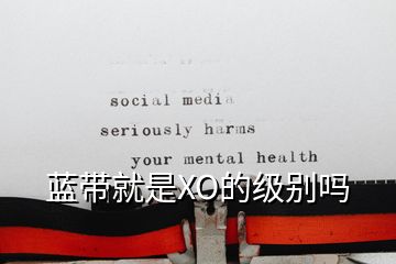 蓝带就是XO的级别吗