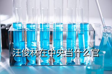 汪俊林在中央当什么官