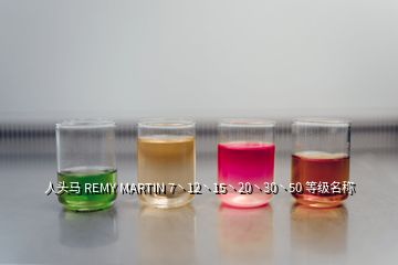 人头马 REMY MARTIN 7丶12丶15丶20丶30丶50 等级名称