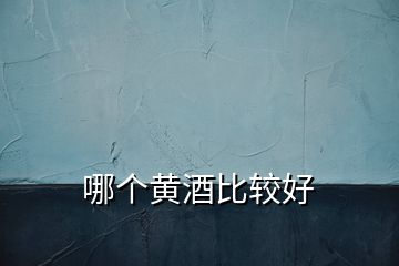 哪个黄酒比较好