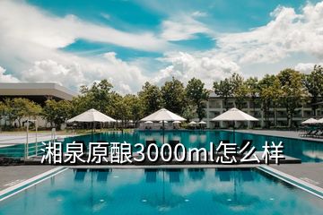 湘泉原酿3000ml怎么样