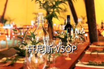 轩尼斯 VSOP