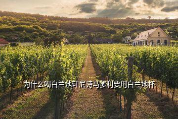 为什么喝白兰地轩尼诗马爹利要用白兰地杯