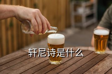 轩尼诗是什么