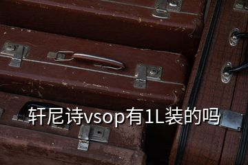 轩尼诗vsop有1L装的吗