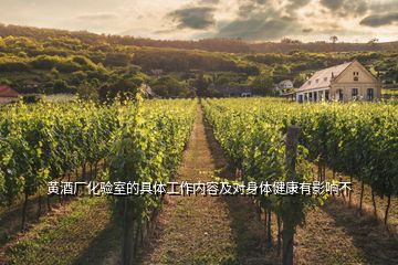黄酒厂化验室的具体工作内容及对身体健康有影响不