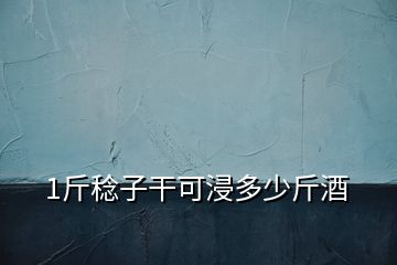 1斤稔子干可浸多少斤酒