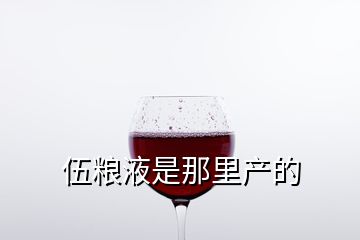 伍粮液是那里产的