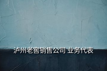 泸州老窖销售公司 业务代表