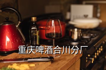 重庆啤酒合川分厂