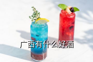 广西有什么好酒