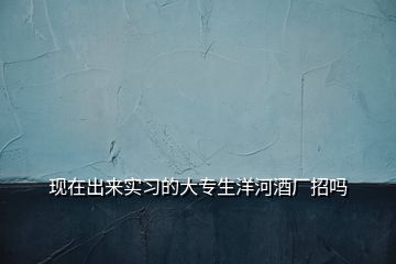 现在出来实习的大专生洋河酒厂招吗