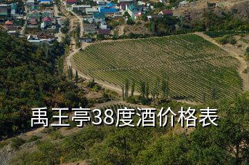 禹王亭38度酒价格表