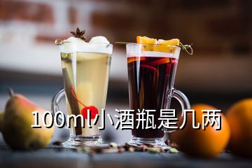 100ml小酒瓶是几两