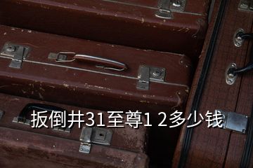 扳倒井31至尊1 2多少钱