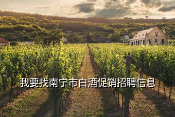 我要找南宁市白酒促销招聘信息