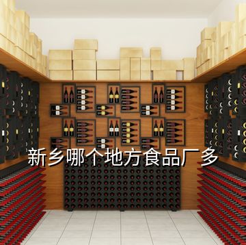 新乡哪个地方食品厂多