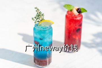 广州neway价钱