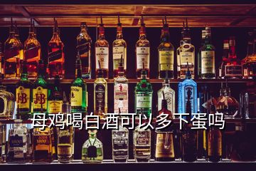 母鸡喝白酒可以多下蛋吗