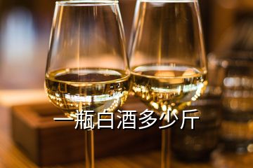 一瓶白酒多少斤