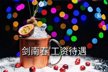 剑南春 工资待遇