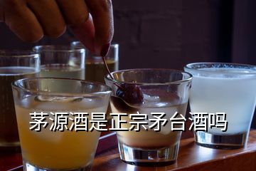 茅源酒是正宗矛台酒吗