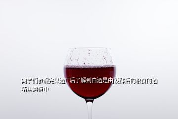 同学们参观完某酒厂后了解到白酒是由发酵后的粮食的酒精从酒槽中