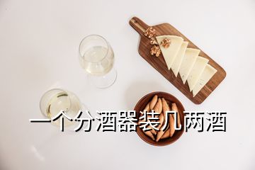 一个分酒器装几两酒