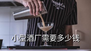 小型酒厂需要多少钱