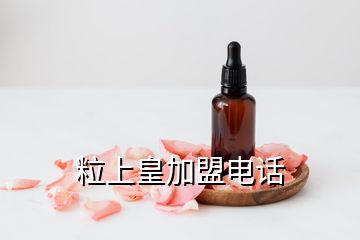 粒上皇加盟电话